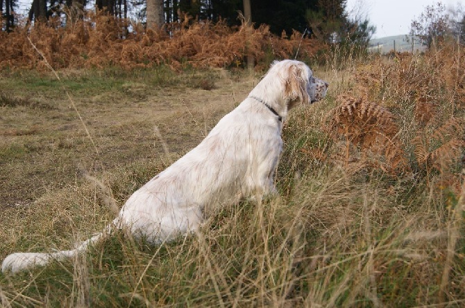 de la croix du bucheron - BOIS MEUR