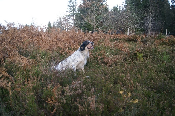 de la croix du bucheron - TREGARVAN 1er jour