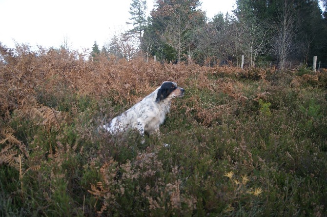 de la croix du bucheron - QUESTEMBERT